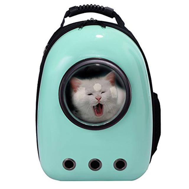 画像1: 【関東近郊】ペット(犬・猫…)と一緒にお出かけ!アウトドアで遊べるスポットからお役立ちグッズまで