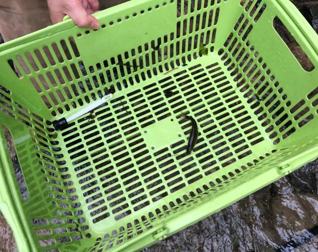 画像: 長時間粘った結果… (筆者撮影)