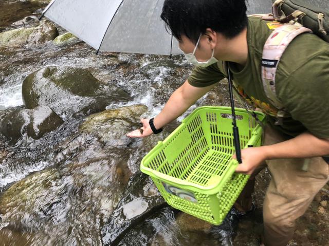 画像: 腹が減っているとは言え小さな魚でしたのでリリースしました