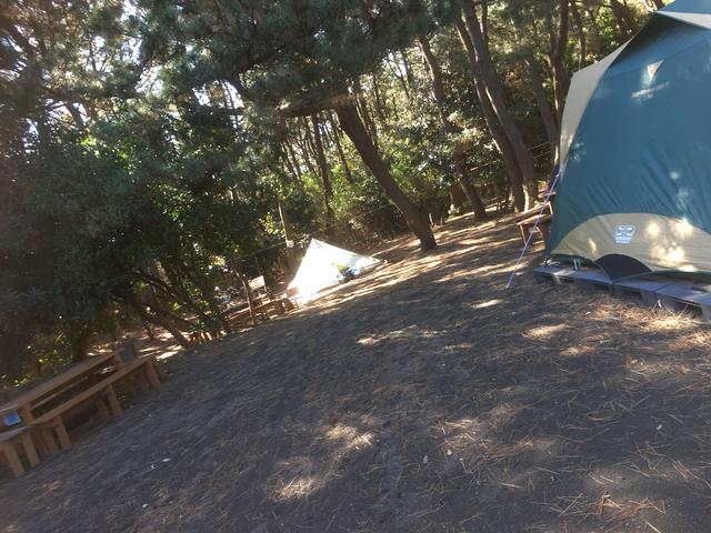 画像: 筆者撮影 柳島キャンプ場