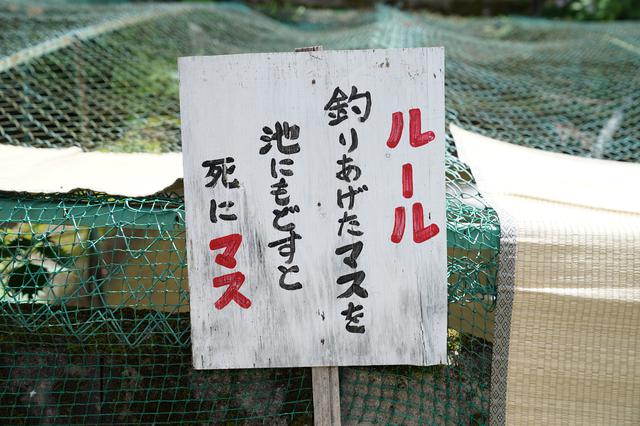 画像10: 筆者撮影