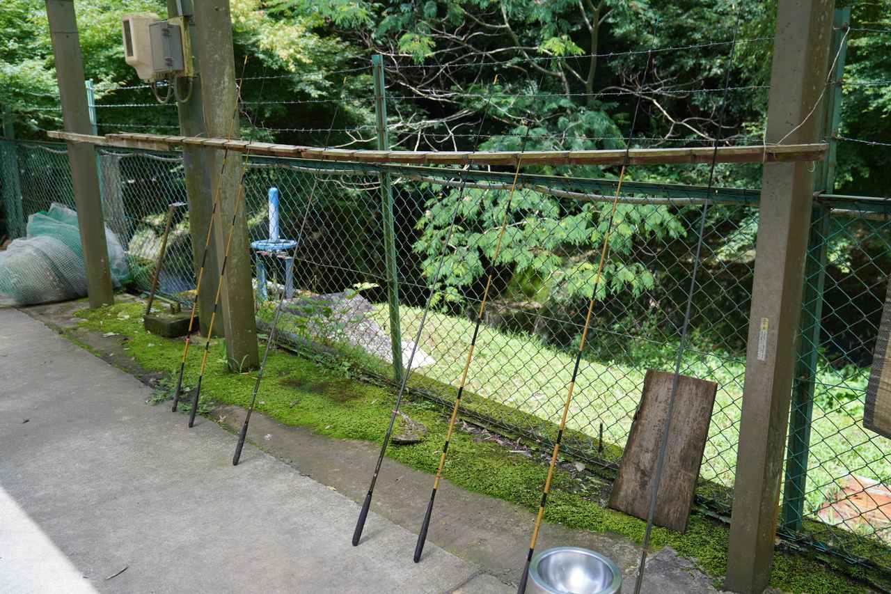 画像3: 筆者撮影