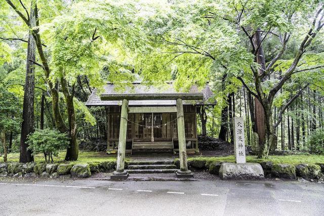 画像5: (photo by 吉田 達史)