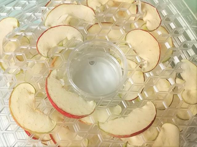 画像6: 筆者撮影