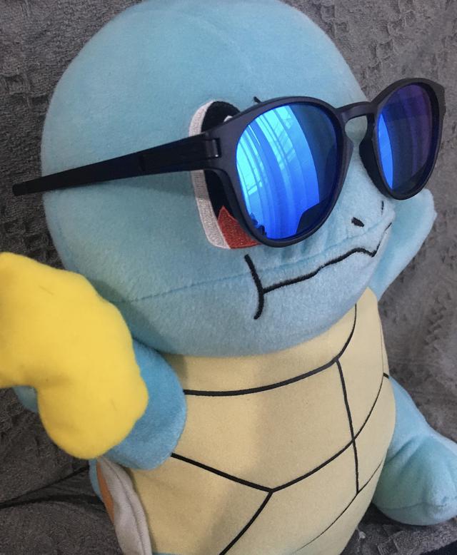 画像: 筆者撮影 COOLだぜ