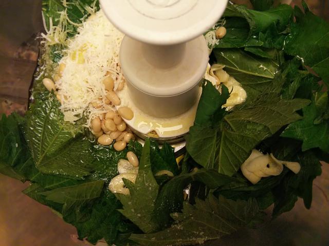 画像: フードプロセッサーに全ての材料を入れる (筆者撮影)