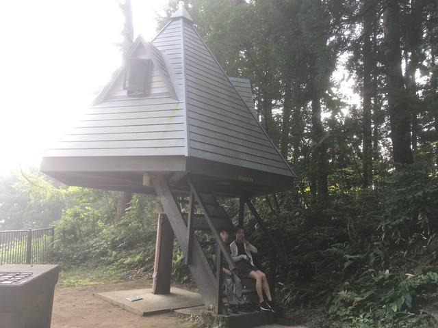 画像: 朝は鳥のさえずりがにぎやかでした (筆者撮影)