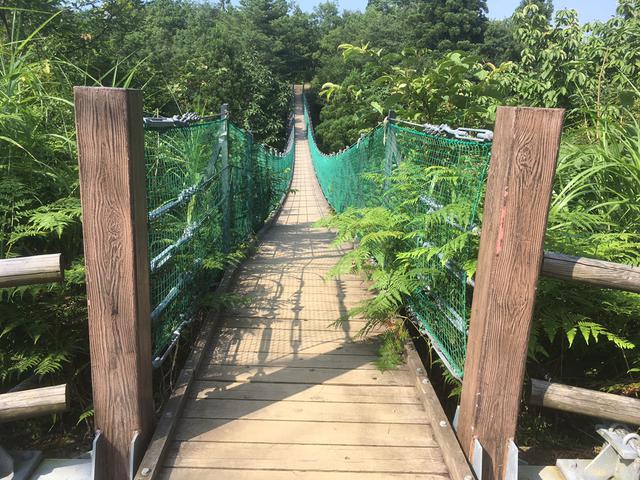 画像: 吊り橋の真ん中では撮影どころではありませんでした (筆者撮影)