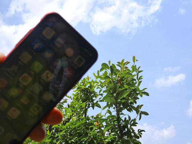 画像3: (筆者撮影)