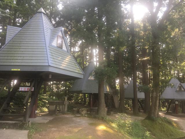 画像: ツリーハウス型のバンガロー (筆者撮影)