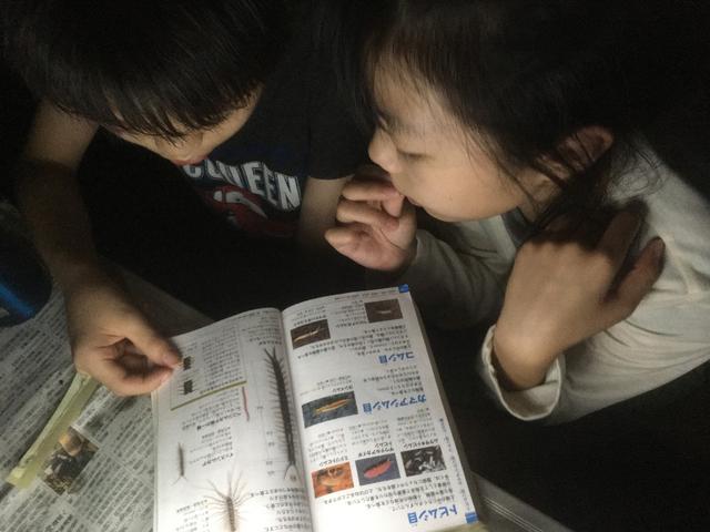 画像: ムカデを見つけたのでポケット図鑑で調べています (筆者撮影)