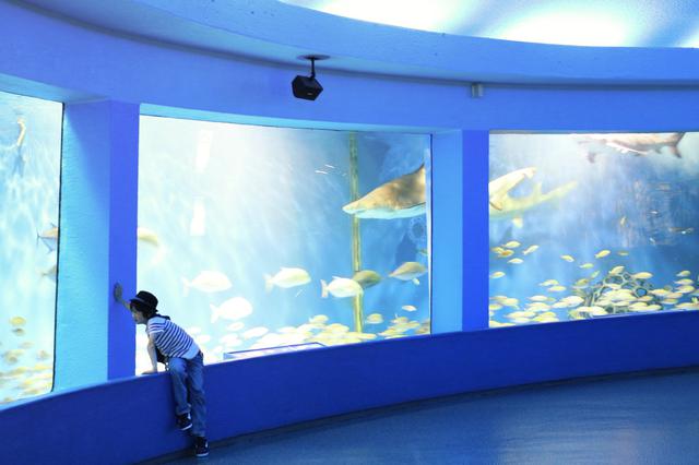 画像: 京急油壺マリンパーク(神奈川県三浦市)
