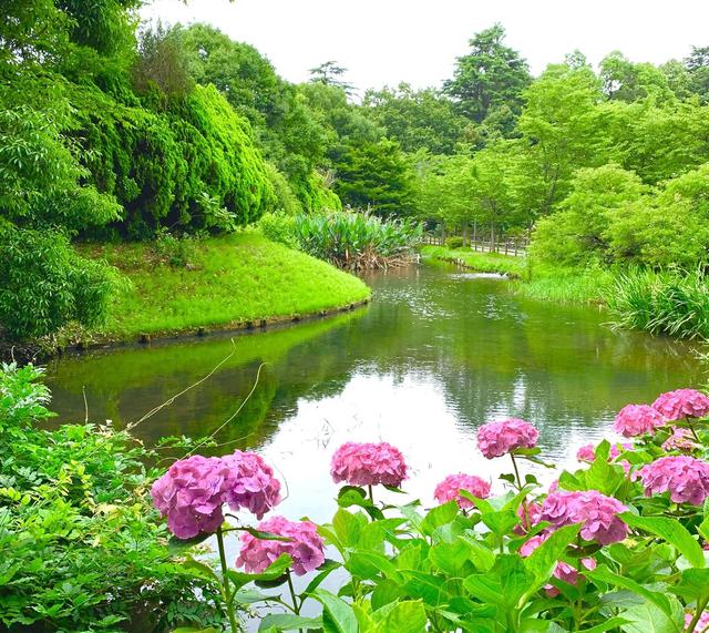 画像: 清水公園(千葉県野田市)