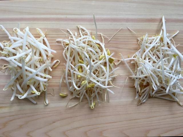 画像: (筆者撮影)左から、緑豆もやし、大豆もやし、黒豆もやし
