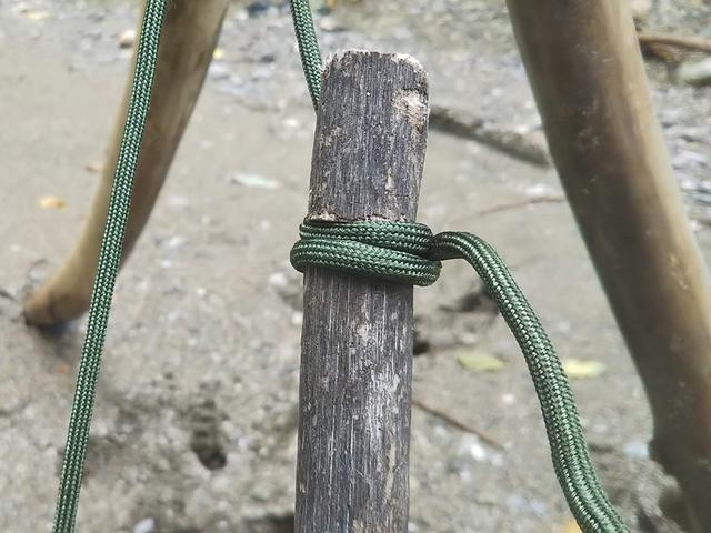画像9: 筆者撮影
