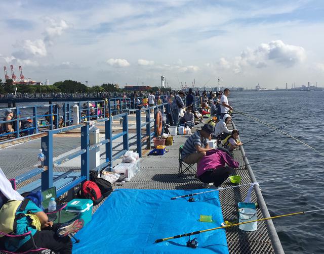画像: 初心者向け海釣りのポイントを紹介! 場所は海釣り公園がおすすめ 初心者用の道具・仕掛けを選ぼう