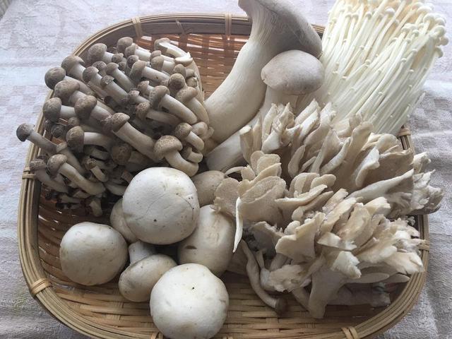 画像1: 筆者撮影