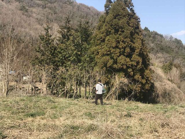 画像: 筆者撮影 仕事の合間に来て草刈りをしてくれる移住友達