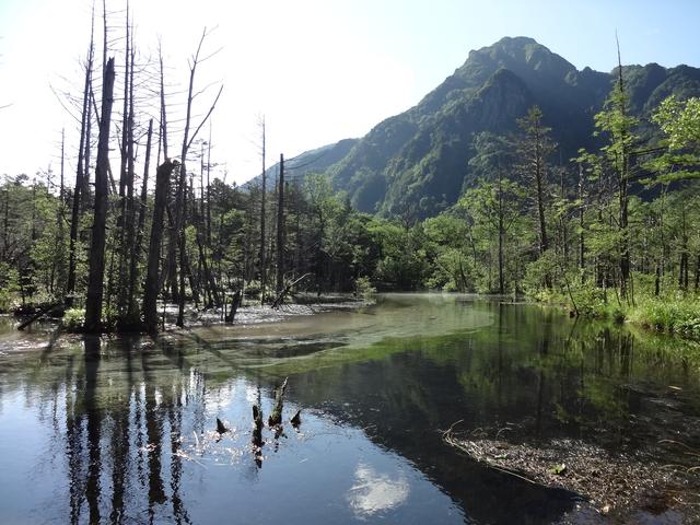 画像: 岳沢湿原 (筆者撮影)