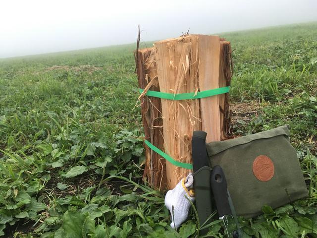 画像: 筆者撮影 このキャンプ場での撮影時は、霧だらけで背景が真っ白でした。(笑)