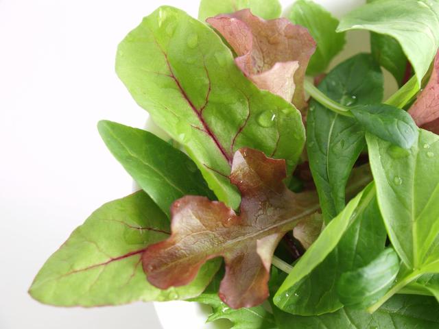 画像: ベランダ菜園におすすめの野菜その1:ベビーリーフ