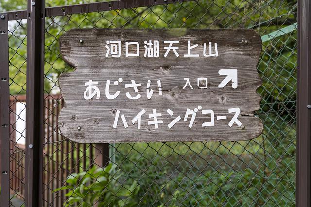 画像5: Photographer 吉田 達史