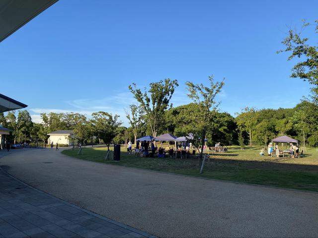 画像: 真夏は日差しが強いのでタープ必須ですね