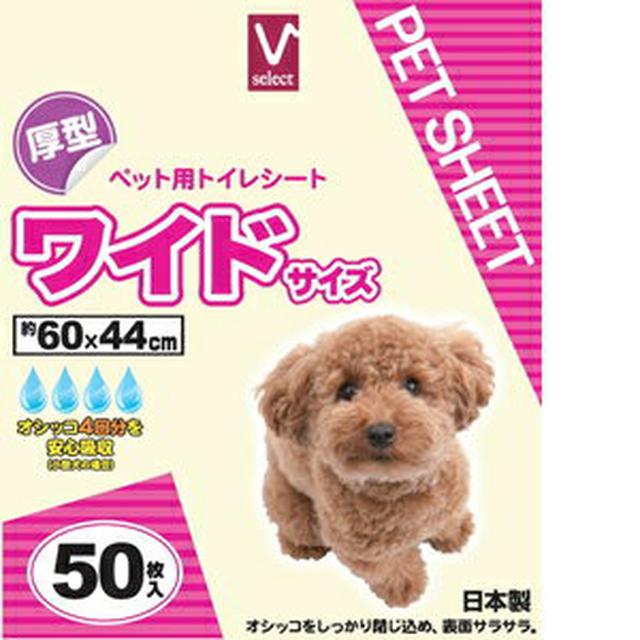 画像4: 【ペットシーツ活用術】キャンプやアウトドアに大活躍! 意外なペットシーツの使い方