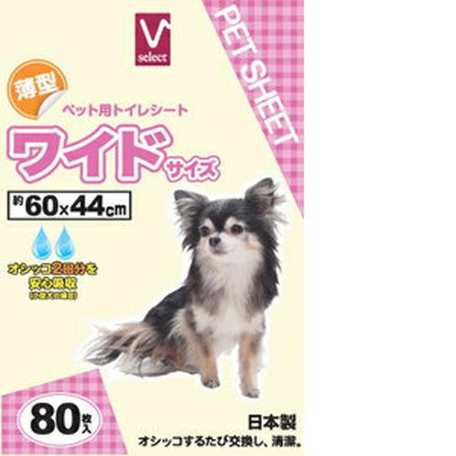 画像3: 【ペットシーツ活用術】キャンプやアウトドアに大活躍! 意外なペットシーツの使い方