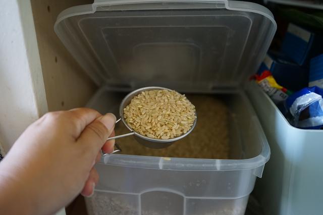 画像5: 筆者撮影