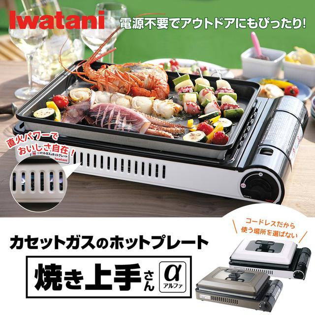 画像2: イワタニのホットプレート『焼き上手さんα』で作るキャンプ飯レシピ4選 オムライスやビビンバなど