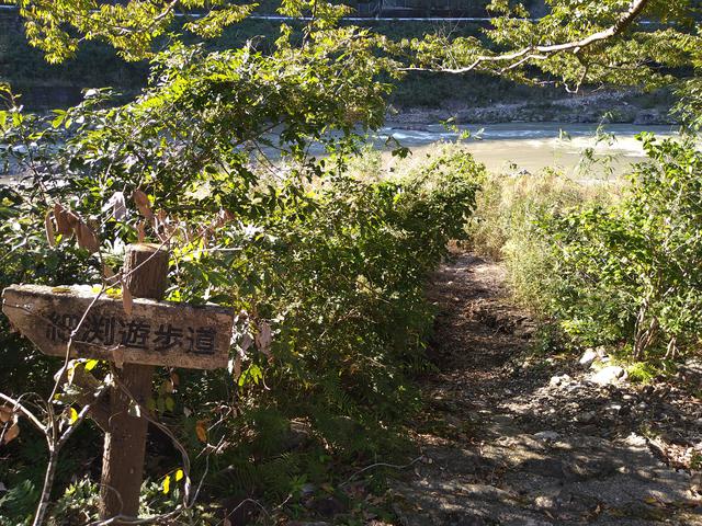 画像: 筆者撮影「遊歩道を通って川へ」
