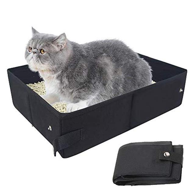 画像2: 【体験レビュー】初めて〝愛猫と一緒〟に行くデイキャンプ!下準備や持ち物・気を配るべきポイントを徹底解説