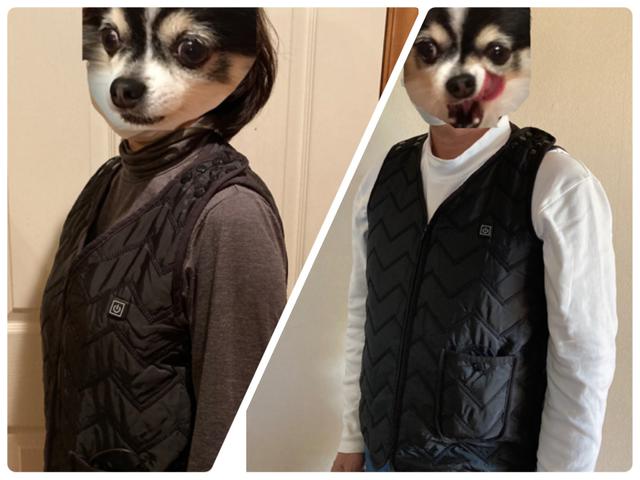 画像1: 筆者撮影(顔出しNGのため愛犬の画像を使用)