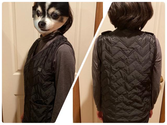 画像2: 筆者撮影(顔出しNGのため愛犬の画像を使用)