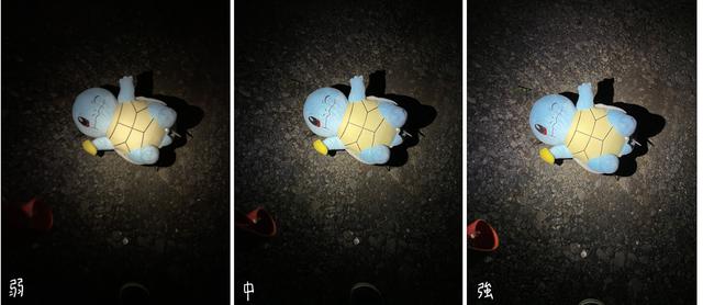 画像: 筆者撮影 1m頭上から