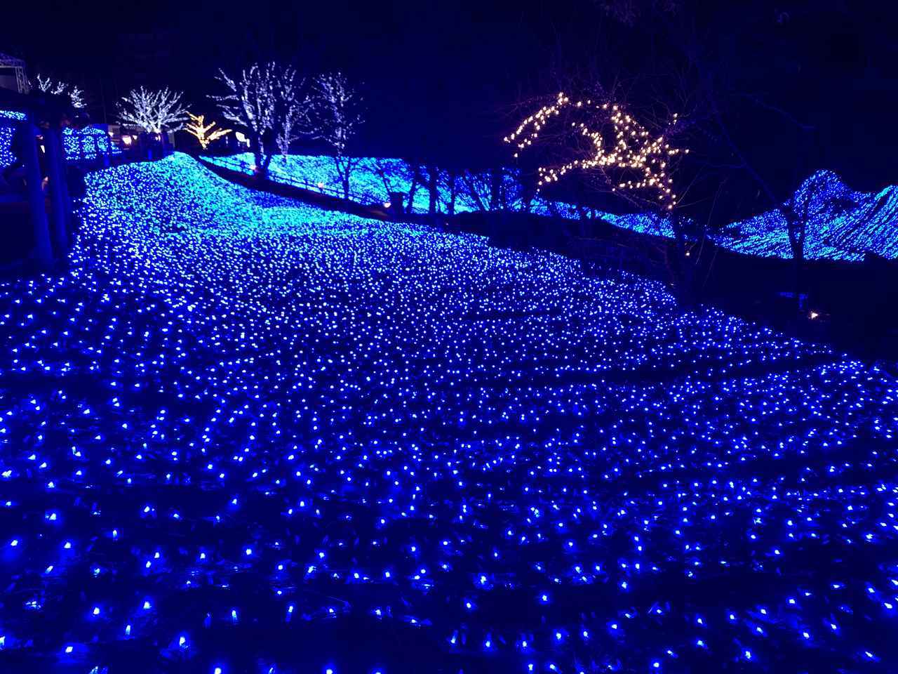 画像: <NESTA RESORT KOBE ネスタリゾート神戸>