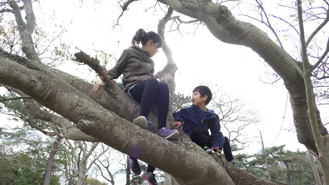 画像: 筆者撮影:2月上旬 南房総市 https://campeena.com