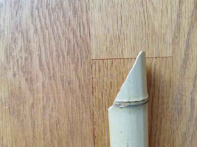 画像: 「そぎ」横から見た様子 (筆者撮影)