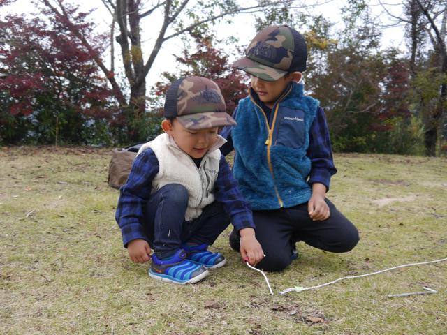 画像: 筆者撮影 秋キャンプにて