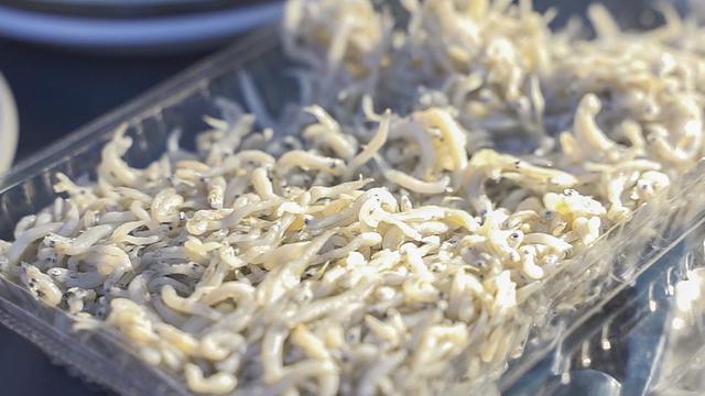 画像: 筆者撮影:すぐ食べられるように、解凍の釜揚げしらすも売ってくれます。(500円)
