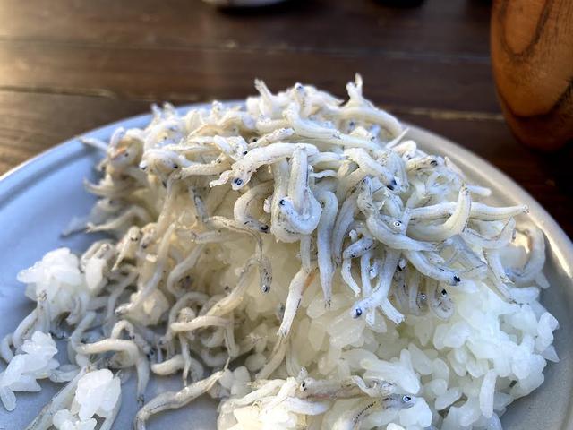 画像: 筆者撮影:スプーンで食べやすいので、THE CURRY PLATE 15に子ども用のお米をよそってもGood!