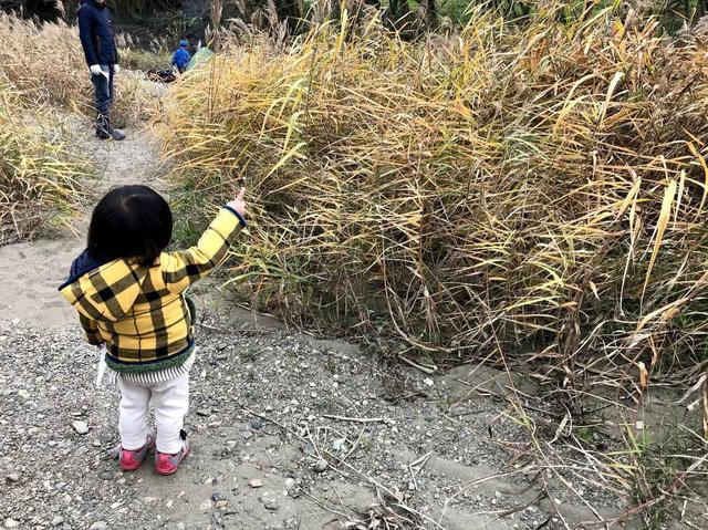 画像: 葉っぱを探している様子 (筆者撮影)