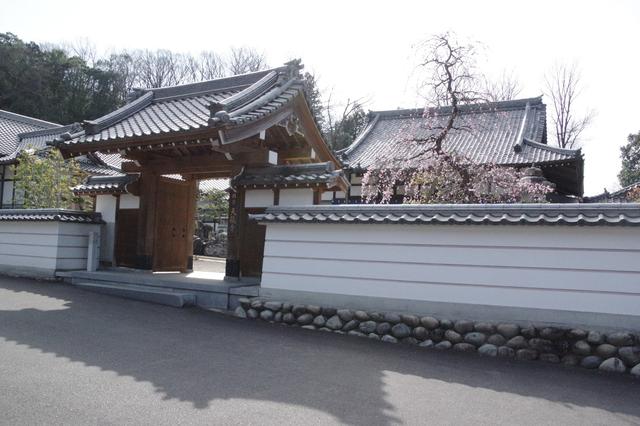 画像: 筆者撮影 天龍寺