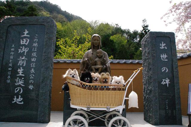 画像: 筆者撮影 愛犬と一緒に!