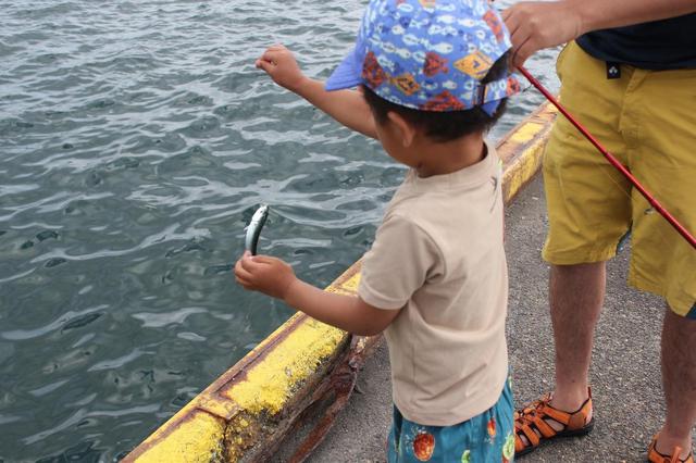 画像: 筆者の息子もサビキ釣りで魚をGET (筆者撮影)