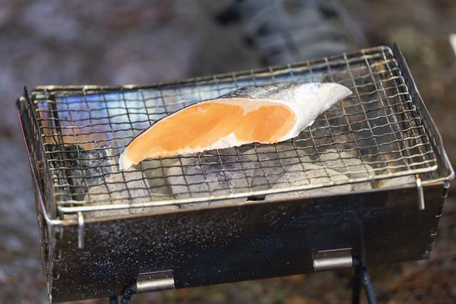 画像29: (photographer 吉田 達史)
