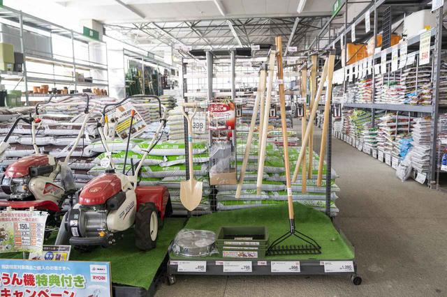 画像2: 【番組ロケ密着】シャンプーハット てつじの空き家でハピキャン!キャンプ場をイチから作り始める究極のDIY!