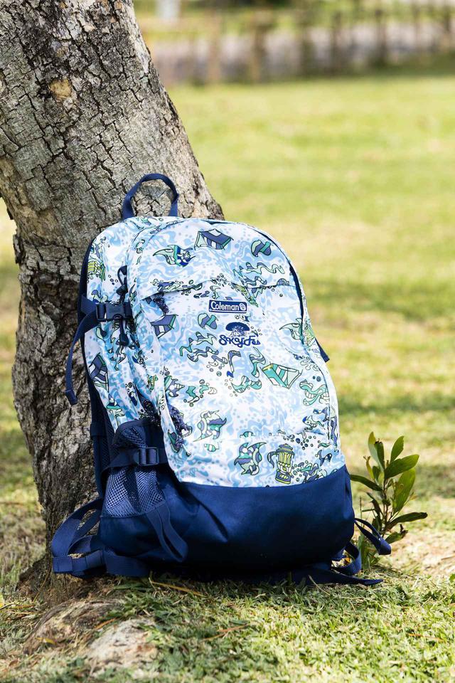 画像1: SKYFes×Coleman バッグWALKER