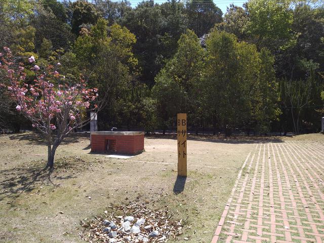 画像5: 筆者撮影